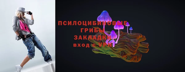 не бодяженный Алзамай
