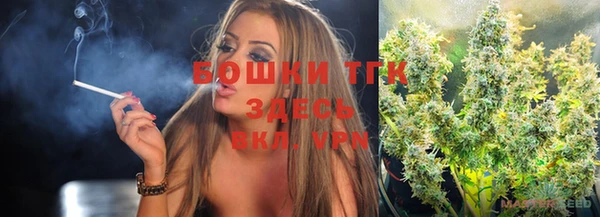 гидра Алексеевка