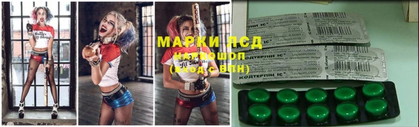 гидра Алексеевка