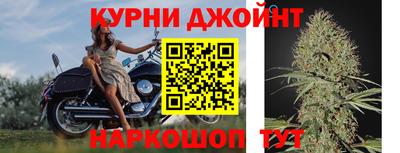 мяу мяу мука Будённовск