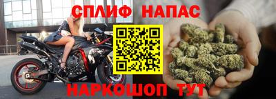 мяу мяу мука Будённовск