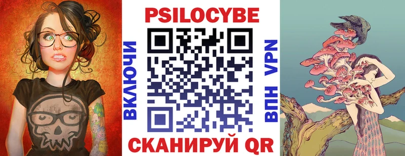 Галлюциногенные грибы Psilocybe Белгород