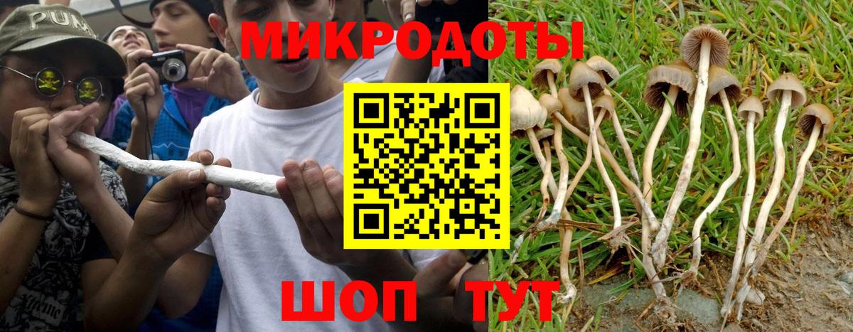 Галлюциногенные грибы MAGIC MUSHROOMS  Вход с VPN  Белгород 